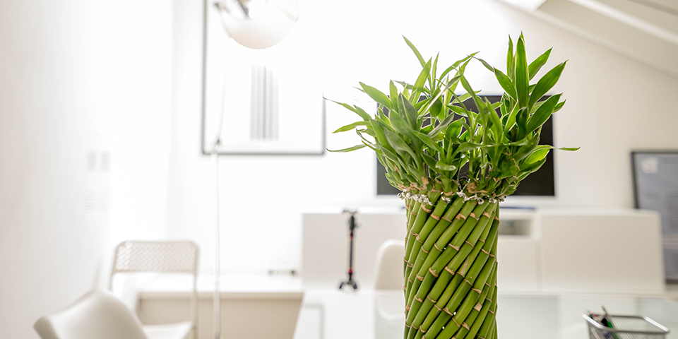 Clinic Renovation Loan - Maximum quantum of up to 100%*