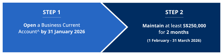 CA free tt 202511 Body Image