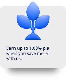 content image isa 02