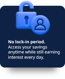 content image isa 03